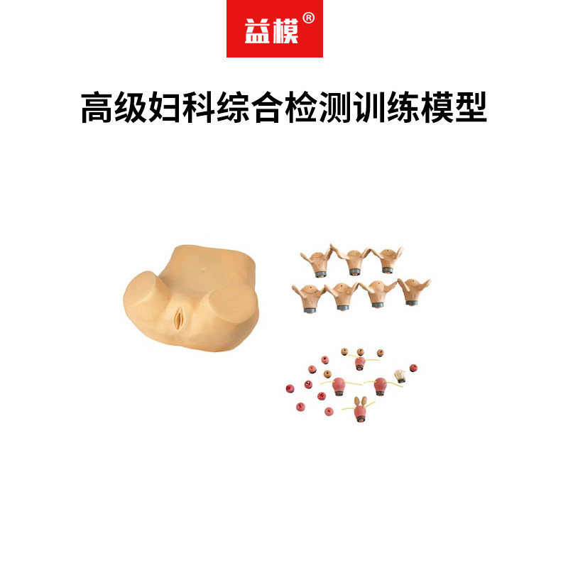益模   高级妇科综合检测训练模型 腹腔镜检查妇产科教学模型  妇婴训练模型子宫触诊视诊