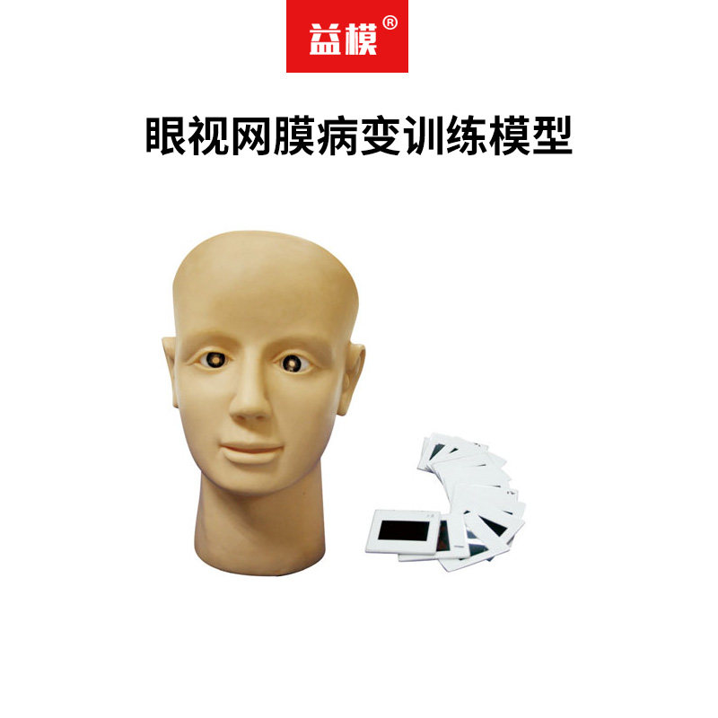 益模  眼视网膜病变训练模型 训练眼底检查眼底病变 诊断技巧眼底病变幻灯片模拟临床眼底病变