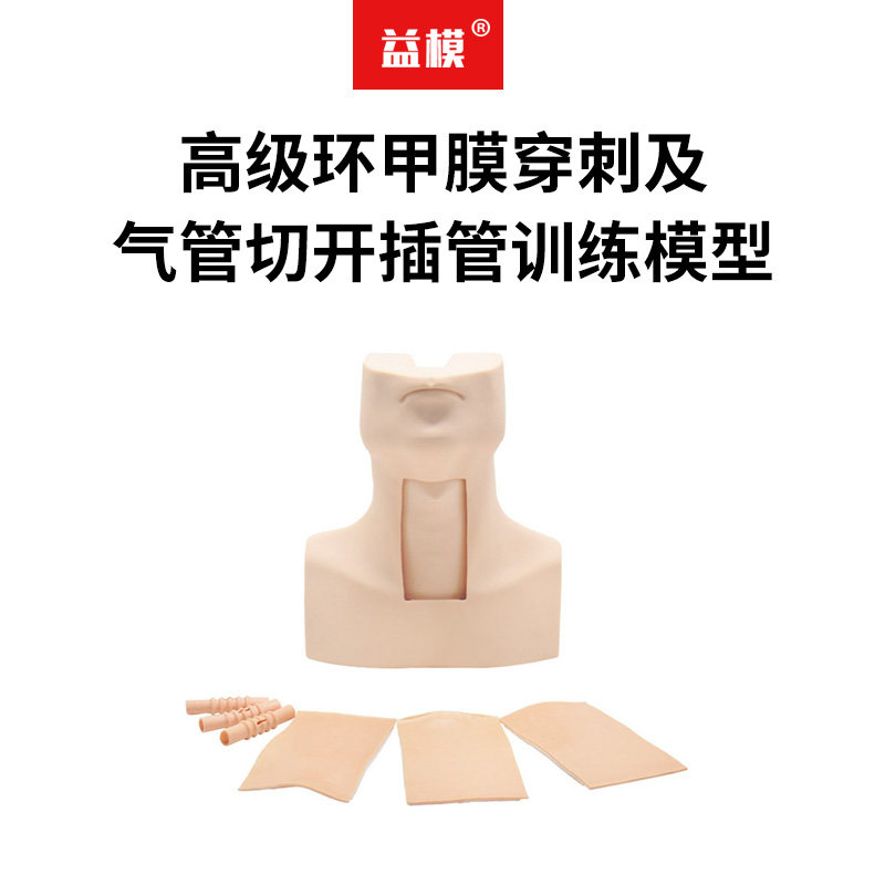 益模 高级环甲膜穿刺及气管切开插管训练模型 经皮气管切开术操作模拟人 环甲软骨韧带穿刺护理模型