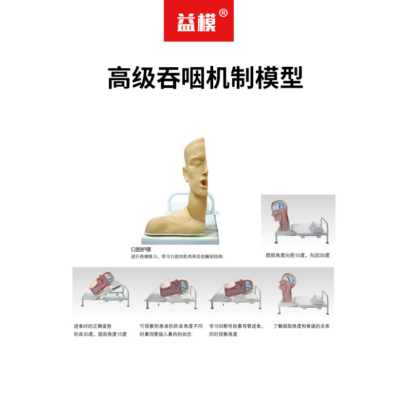 益模  高级吞咽机制模型 吞咽练习误咽患者紧急护理学员学习吞咽机模具