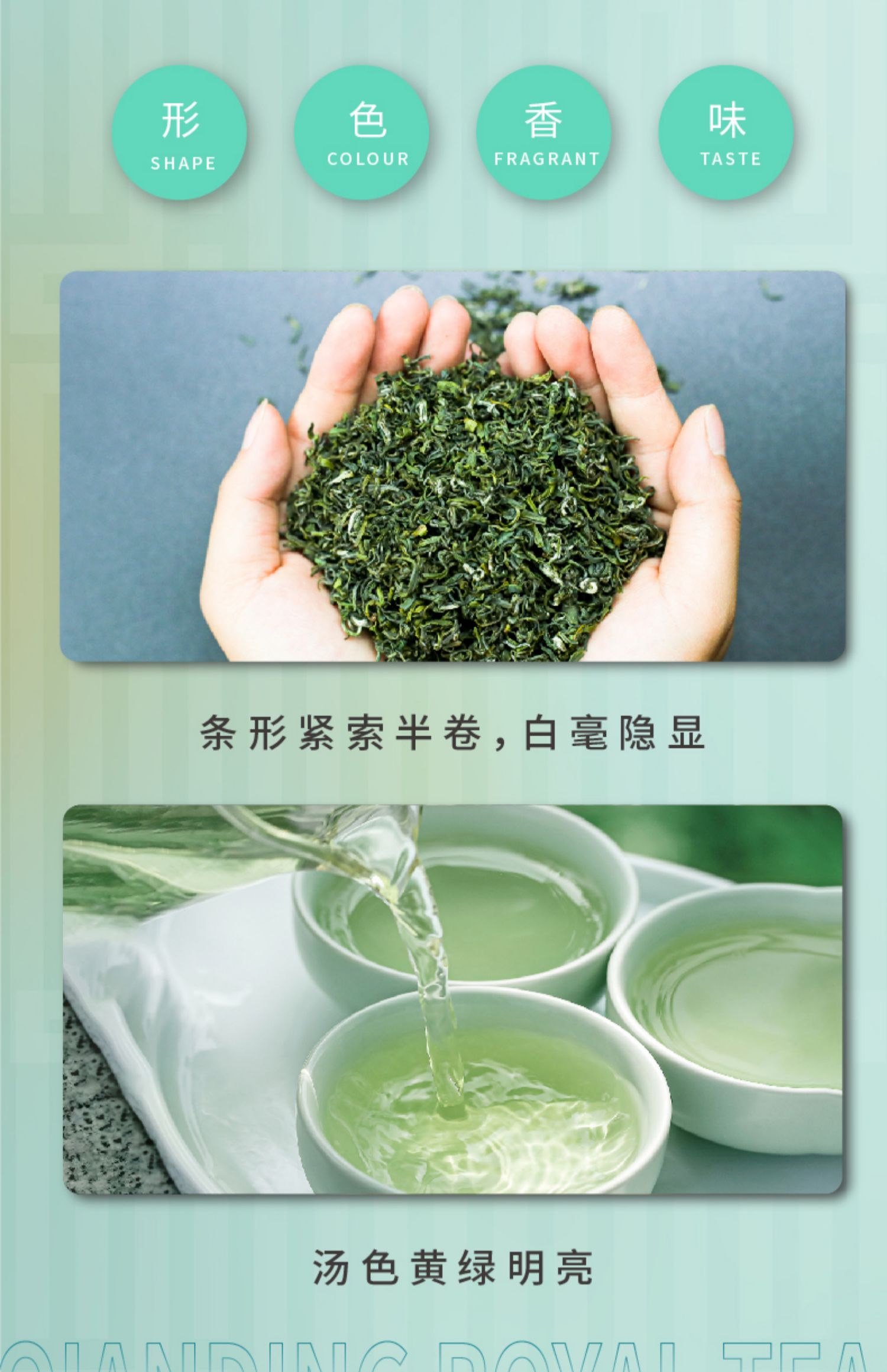 【100g绿茶】黔顶金沙贡茶绿茶茶叶春茶