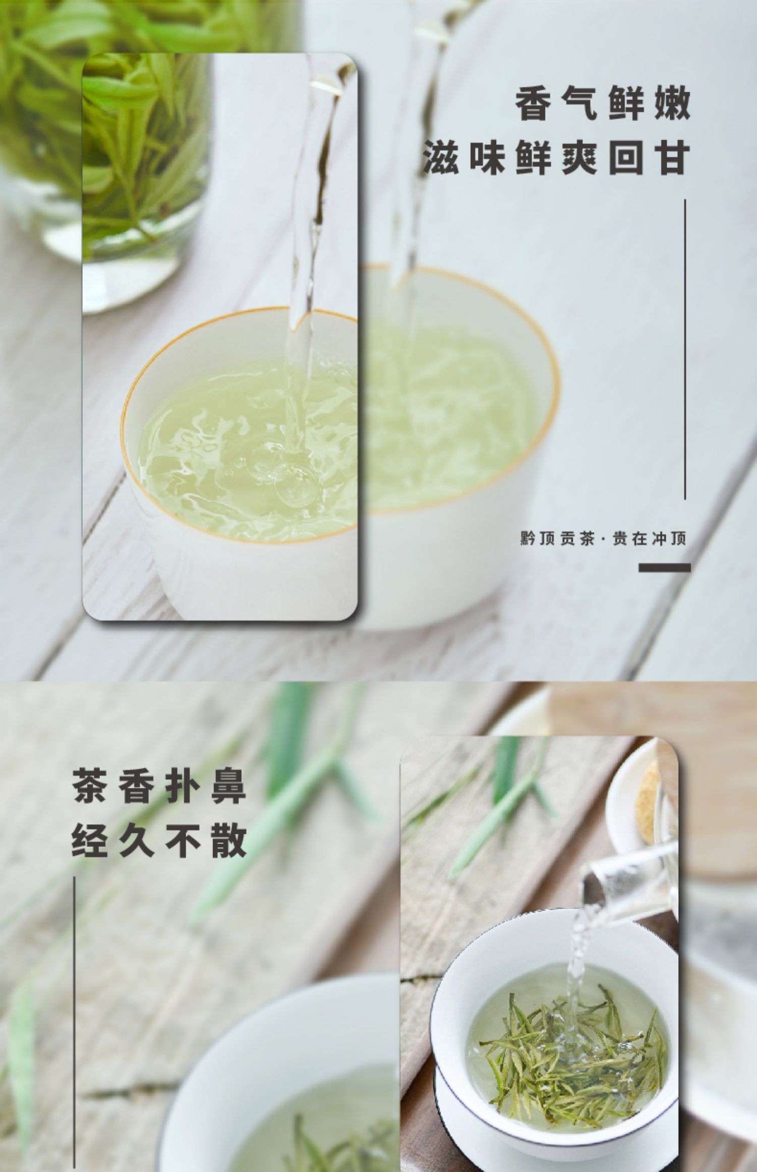 【100g绿茶】黔顶金沙贡茶绿茶茶叶春茶