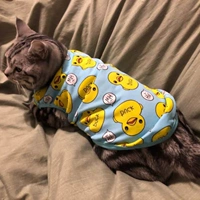 B.Duck, синий жилет