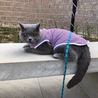 Сиреневый жилет