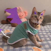 Зеленый жилет