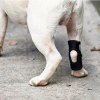 Перелом ноги собаки собаки с собакой фиксированная защитная оборудование фанера поддержка задних ног инвалида -собака передняя нога вспомогательная нога собаки Джека