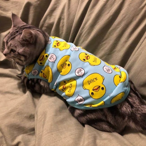 Тонкий весенний шнурок-держатель, летняя милая майка топ без рукавов