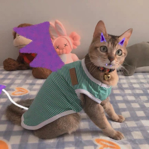 Тонкий весенний шнурок-держатель, летняя милая майка топ без рукавов