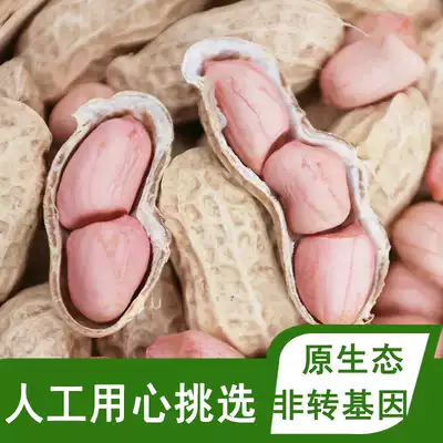 2021 New shelled raw peanuts farmhouse original pink dried peanuts with shells freshly dried 5kg bulk