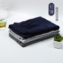 Boy Summer Thin Trousers Children Hide Blue Sports Pants in Big Childrens Dark Gray School Clothes