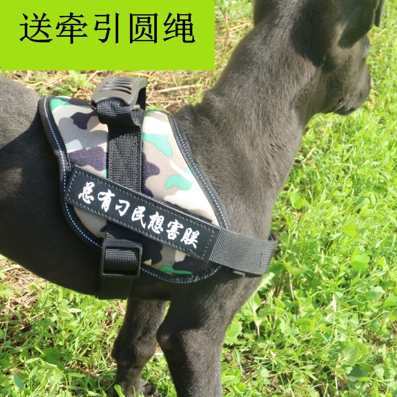 Dog chain chest strap medium dog large dog Samoa Labrador Golden Retriever pet small dog walking dog leash