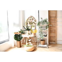 ins forest simulation leaves turtle back leaves plantain leaves Birthday party dress up leaves balloon arch plant decoration