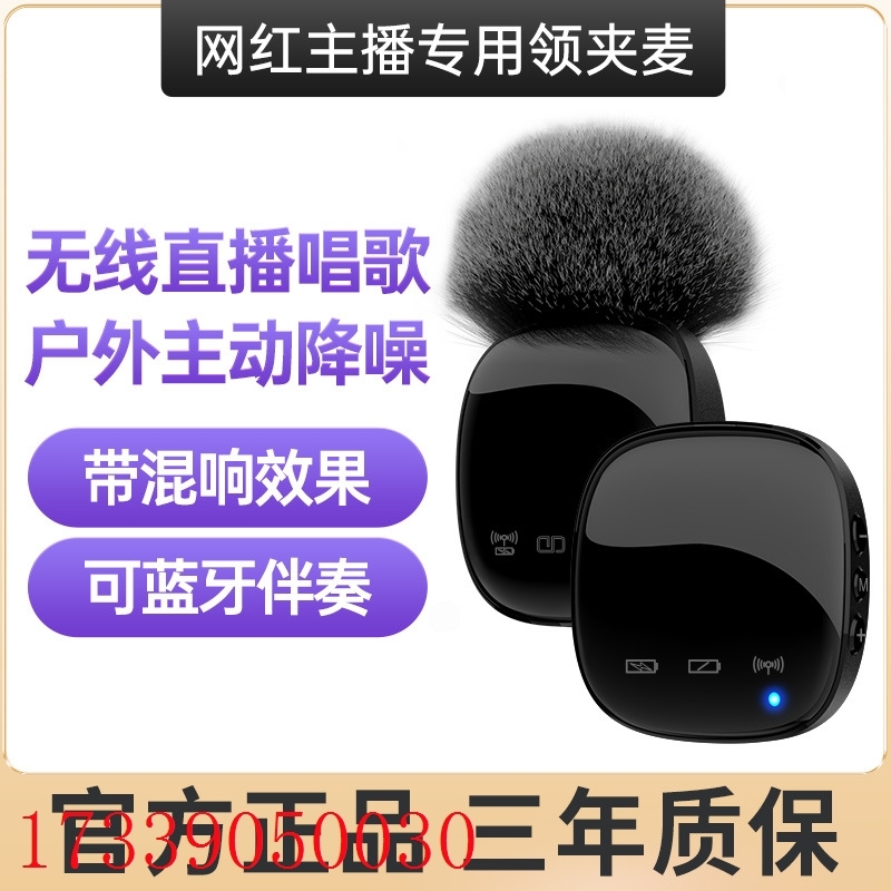 R8 Tiger wireless microphone one drag two Bluetooth noise reduction recording k song live radio microphone