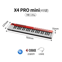 X4 Pro Mini (49 клавиш)