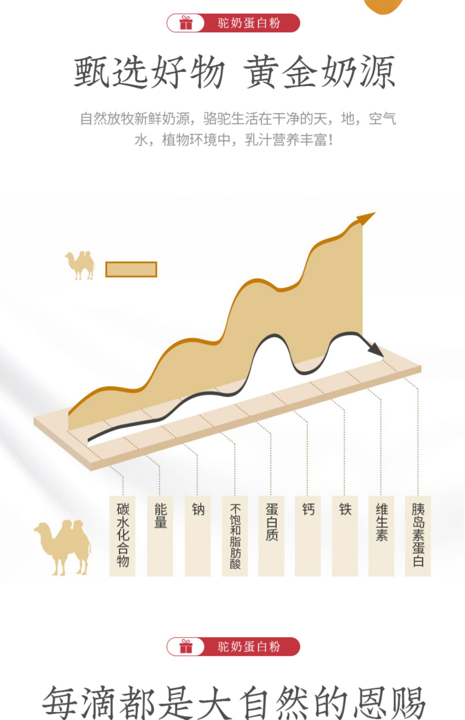 益生菌驼奶蛋白粉乳清蛋白粉