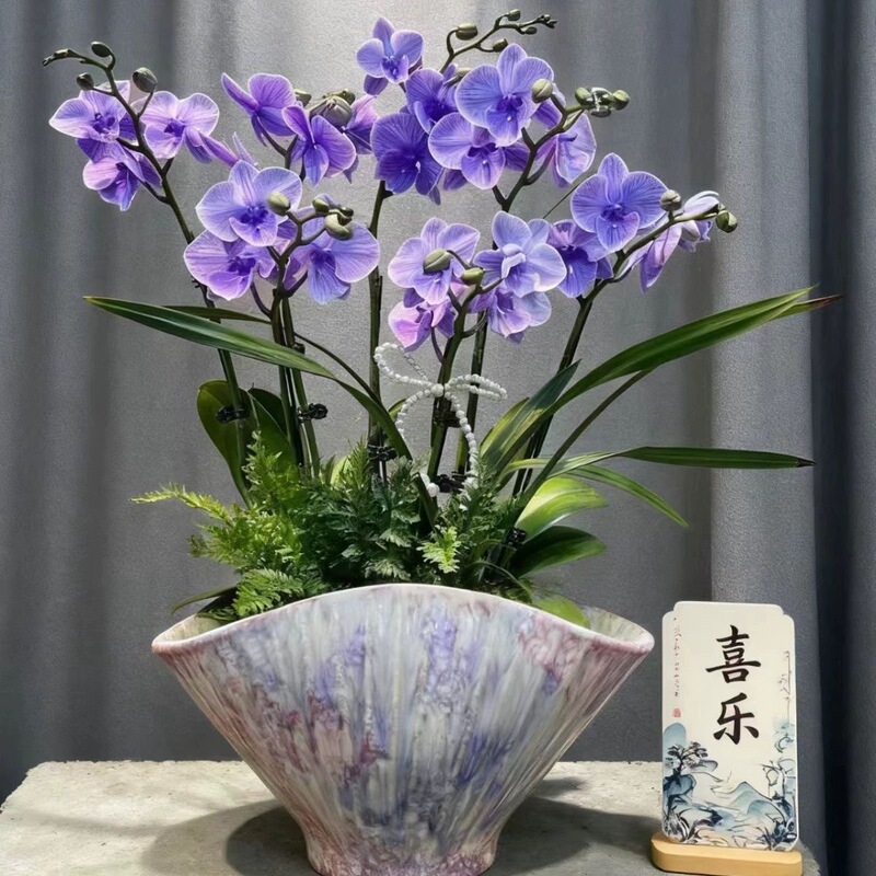 New Chinese-Style Floral Glaze Ceramic Flower Pot for Phalaenopsis and Cymbidium Orchids, Uniquely Shaped Flower Vessel, Wabi-Sabi Style, Song Dynasty Aesthetics, Zen-Inspired Home Decor New Chinese-Style Floral Glaze Ceramic Flower Pot for Phalaenopsis and Cymbidium Orchids, Uniquely Shaped Flower Vessel, Wabi-Sabi Style, Song Dynasty Aesthetics, Zen-Inspired Home Decor