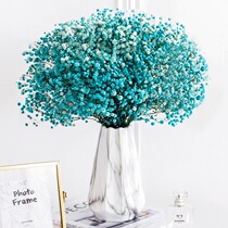 Gypsophila gypsophila suitable vase high-end table small vase forget-me-not chamomile dried flower arranging ceramic ornaments