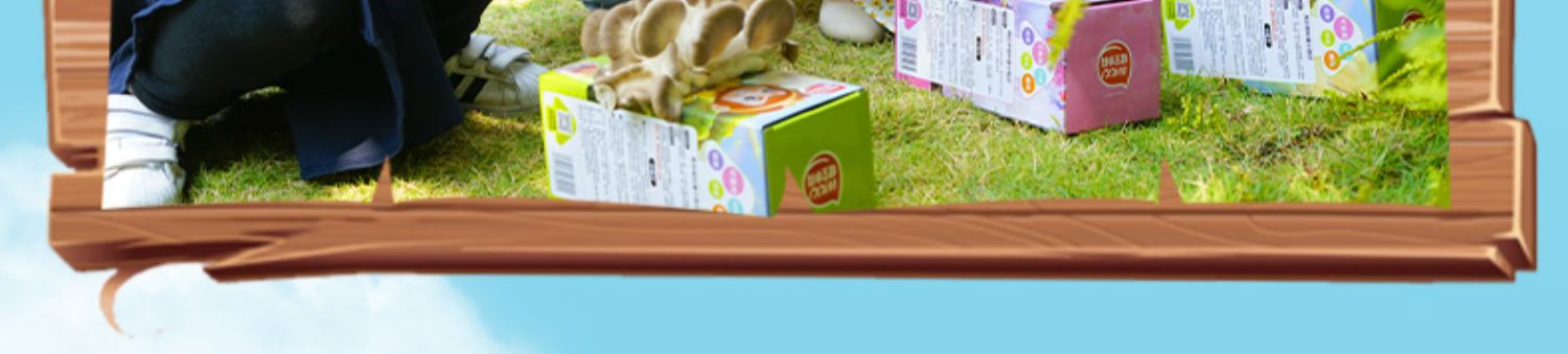 悟空小将蘑菇精灵种植家庭趣味diy儿童2盒