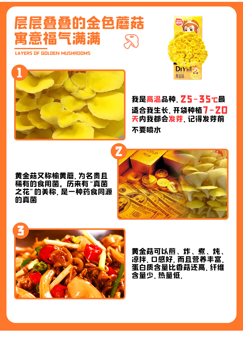 【2盒装】悟空小将蘑菇种植包2kg