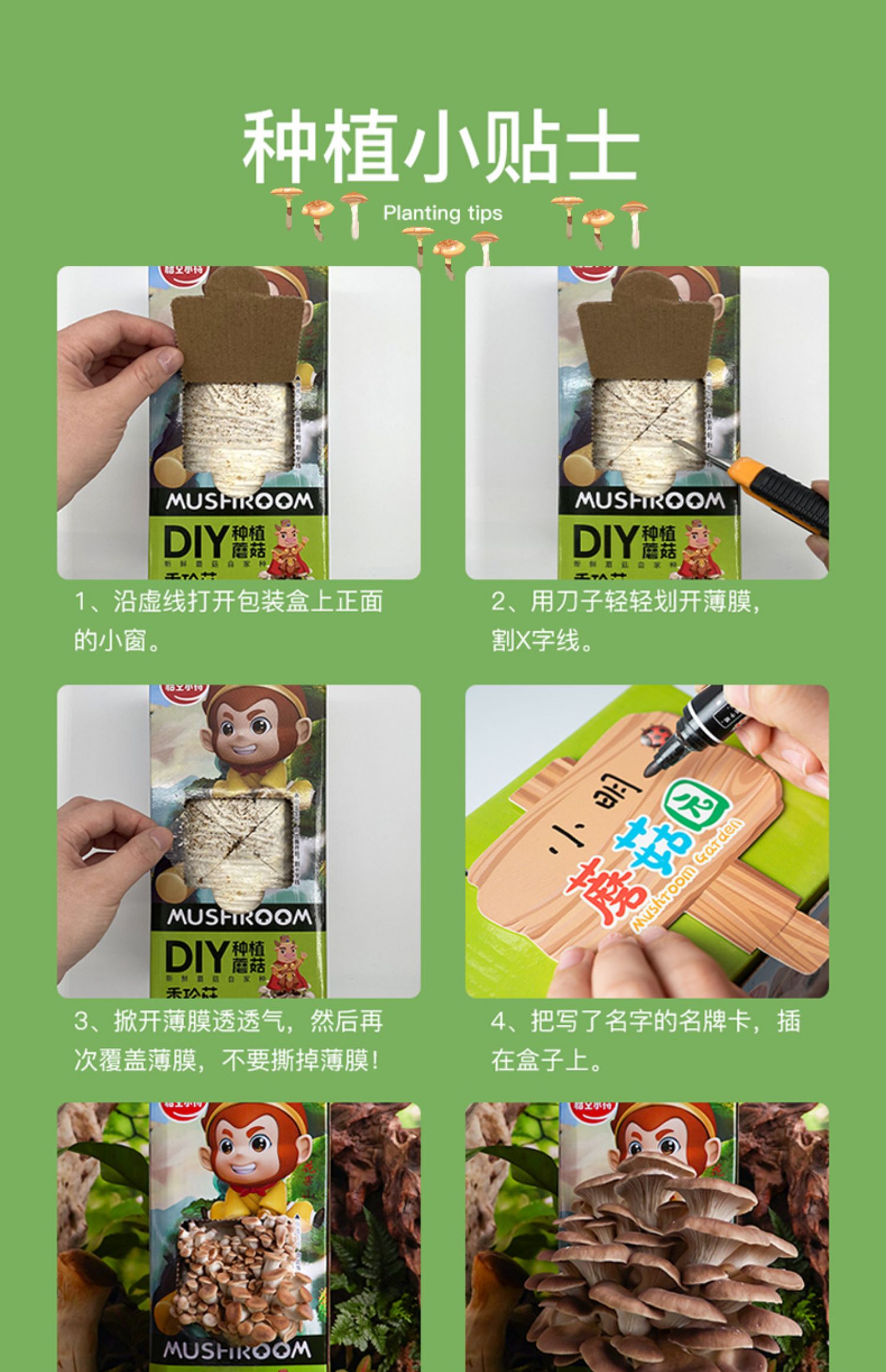 【2盒装】悟空小将蘑菇种植包2kg
