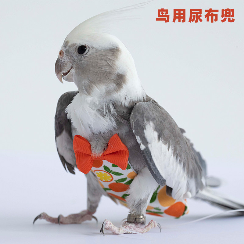 Solid small bird shit pocket durable small CUHK clothes bird supplies Dirty Clear Washable Birds With Urine Not Wet Urine Pocket
