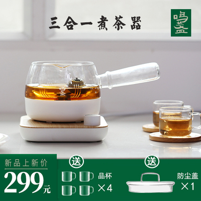 Ming light thickened glass health pot office small electric teapot black tea Pu'er small green orange mini tea maker