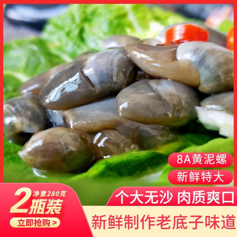 Mud snail ready-to-eat canned 8A canned spicy special Zhoushan Wenzhou specialty Pickled emperor big mud snail specialty Ningbo