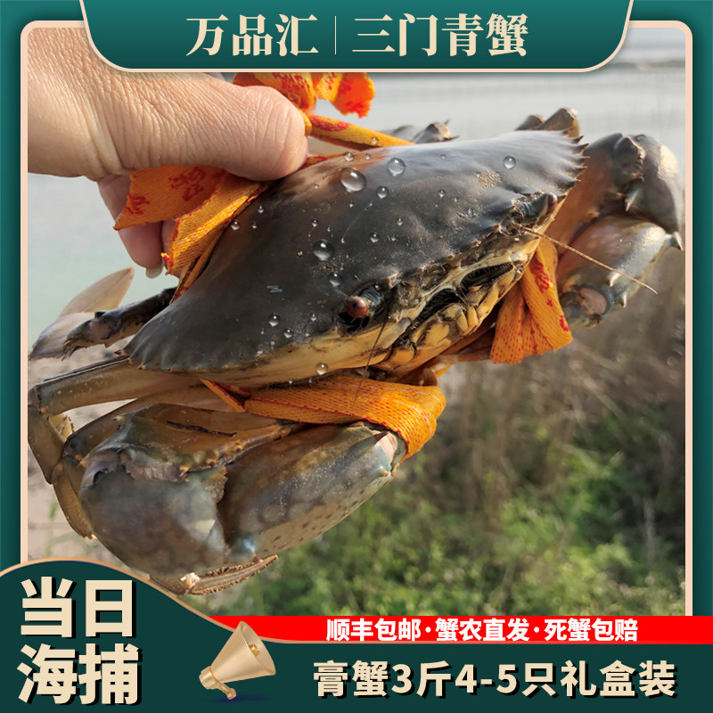 Sanmen green crab fresh mother super red cream crab mother crab Authentic Zhejiang Sanmen Green crab big green crab fresh large