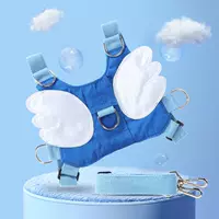 Blue Angel Basic Fund