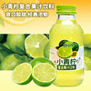Lemon Xiaole Little Lime Juice Double Pomelo Juice 300g Casual Juice Glass Bottle Party Banquet Drink