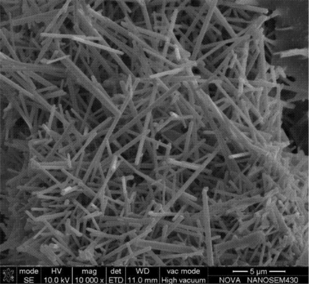 氧化铁纳米线 三氧化二铁纳米纤维 Fe2O3晶须 增强增韧科研实验用