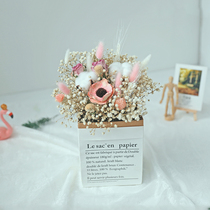 ins Really dry bouquet eternal life starry paper bag gift box Natural air-dried kapok Nordic decorative ornaments props