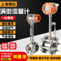 Vortex flowmeter Gas vapor compressed air Biogas Natural gas nitrogen thermal oil High pressure gas flowmeter