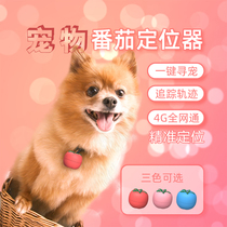 Pet locator cat and dog anti-lost device GPS tomato collar tracking artifact anti-lost device