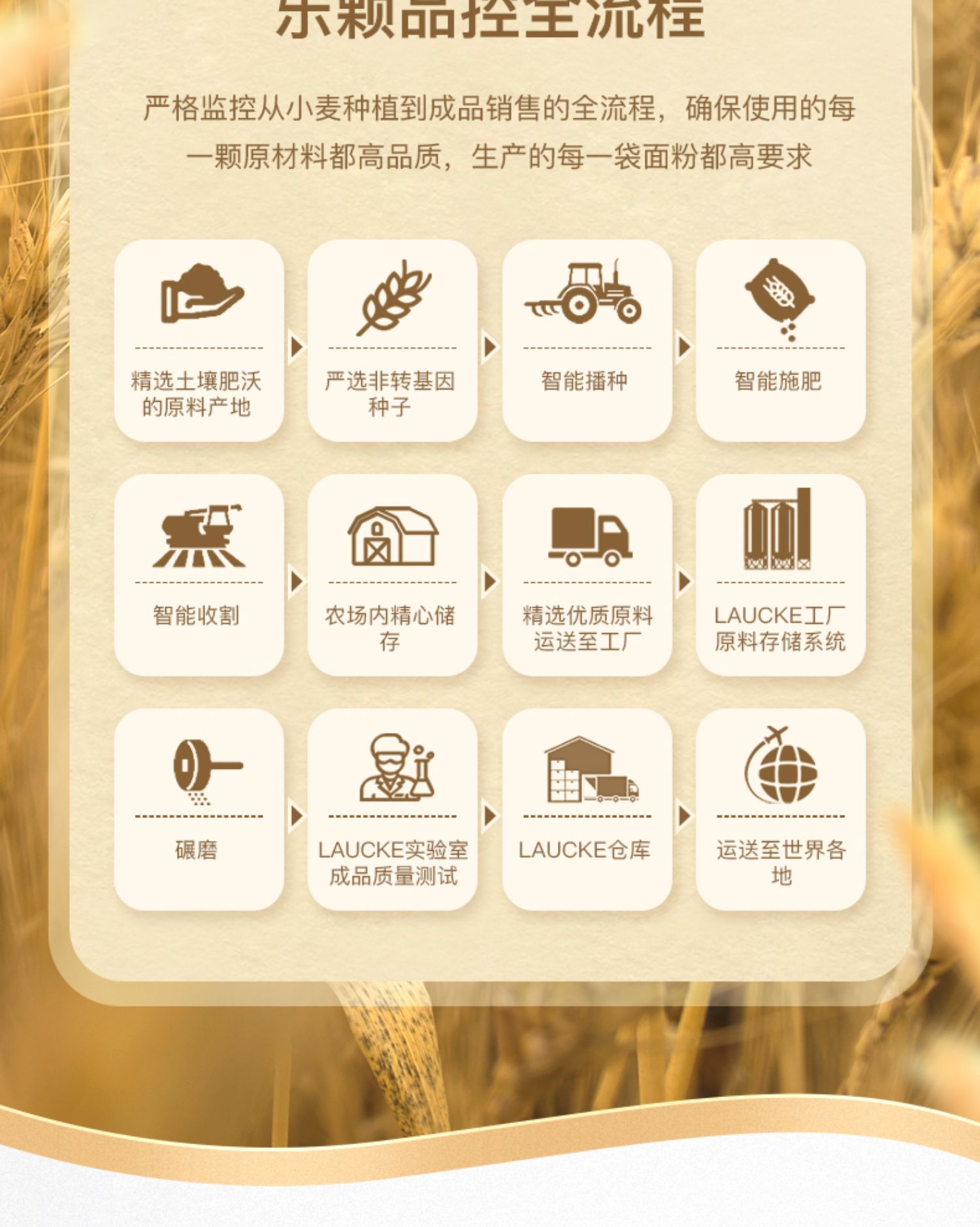 【买一送一】乐颗高筋小麦面粉5kg