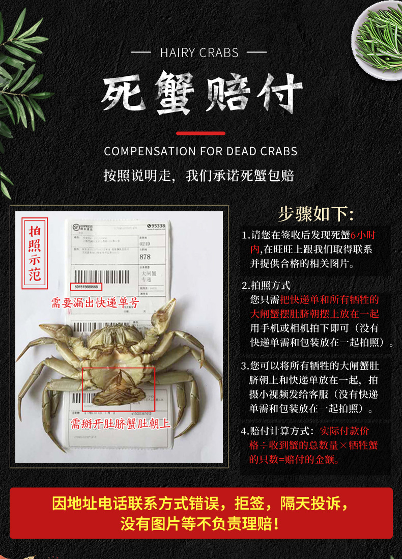 苏津 全母大闸蟹 10只 单只1.6-2.0两 图5