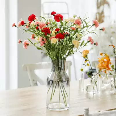 Hipster simulation carnation bouquet home decoration fake plastic flower living room bedroom insert floral Mother's Day ornaments