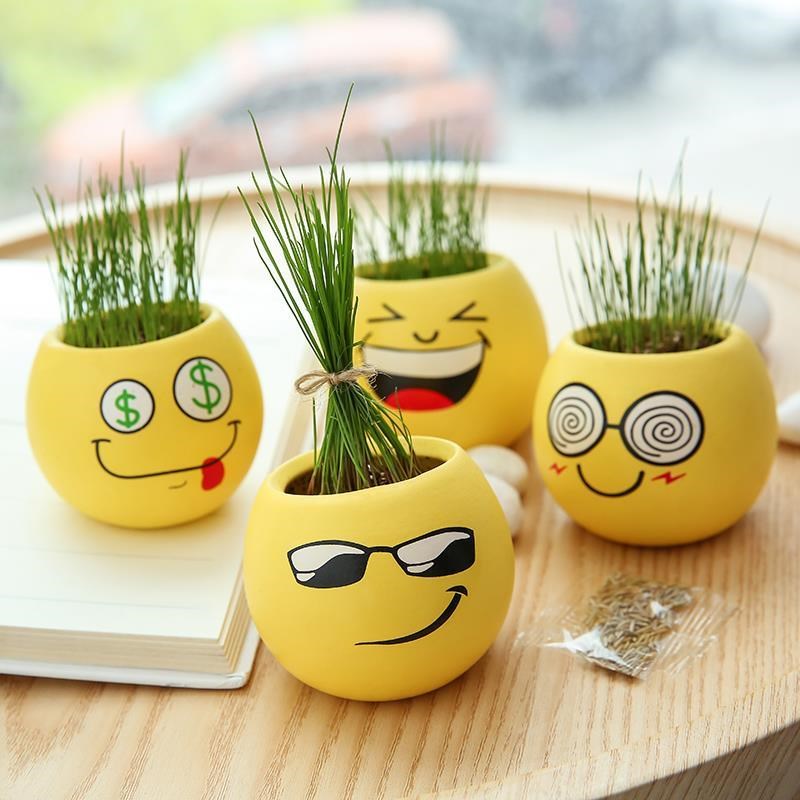 Green Pot Office Mini Plant Growing Expression of Meadow Doll Desktop Ecological Bottle