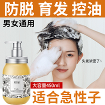 Daisy Culvert Ginger Anti-Hair Shampoo Raw Hair Thickened Hair Control Oil Men And Women Shampoo Cream-Flagship Store