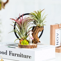 Железное кольцо девушка