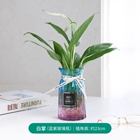 Белая ладонь+синяя фиолетовая оригами