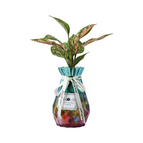 Гидропонная новая домашняя утиная утка