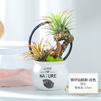 Tiehuan Fairy Crane-White Pot Elite (продукты для продуктов)