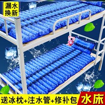  Water Bed Double Bed Household Summer Water Mat Bag Heat Dissipation Summer Ice Mat Bed Refrigeration Bag Thickened Water Bag Ice Cold Sleeping