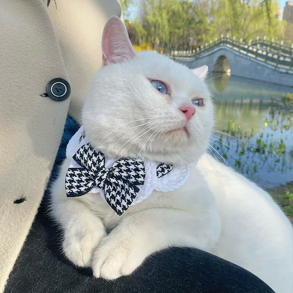 Товары от 欣记旗舰店