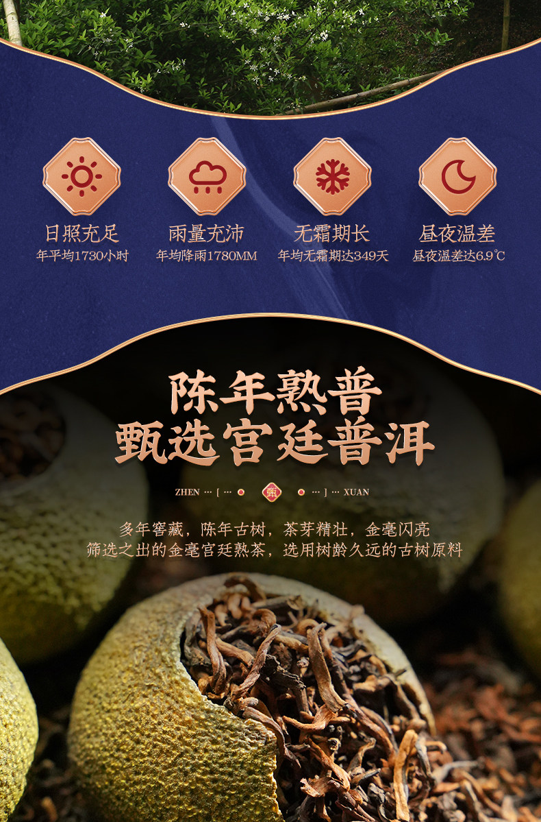 植宗 小青柑 云南宫廷普洱茶 礼盒装 图3