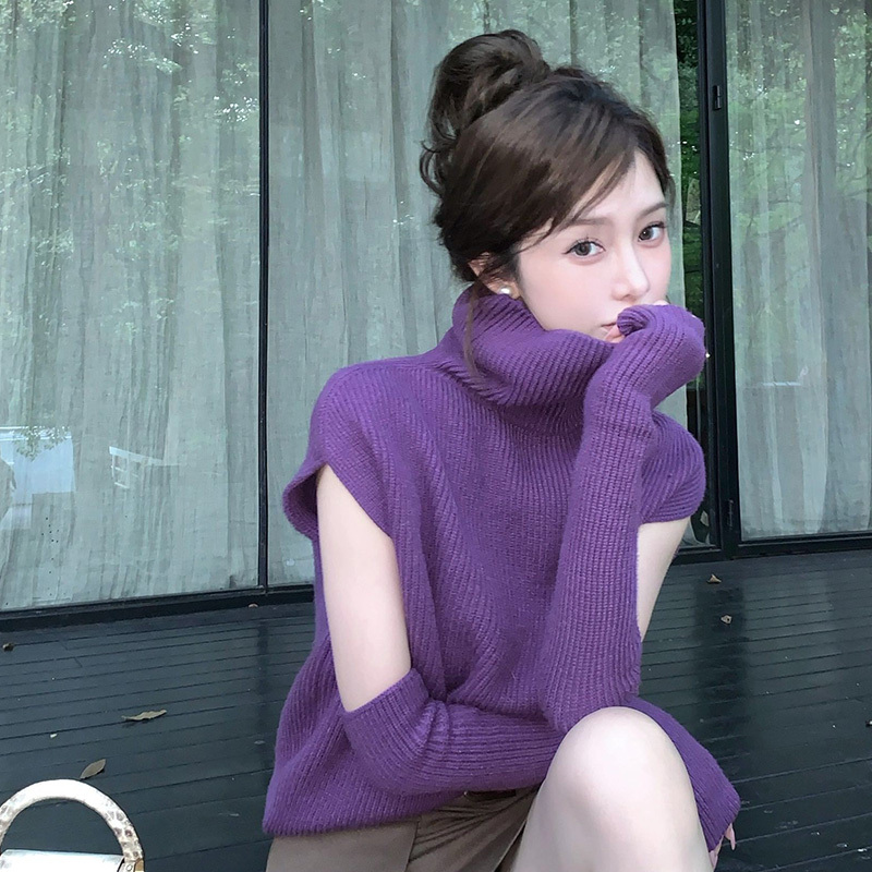 Purple Pullover Turtleneck Sweater for Women, Autumn Knitted Base Shirt, Loose and Lazy Style, High-End Sleeveless Inner Top Purple Pullover Turtleneck Sweater for Women, Autumn Knitted Base Shirt, Loose and Lazy Style, High-End Sleeveless Inner Top