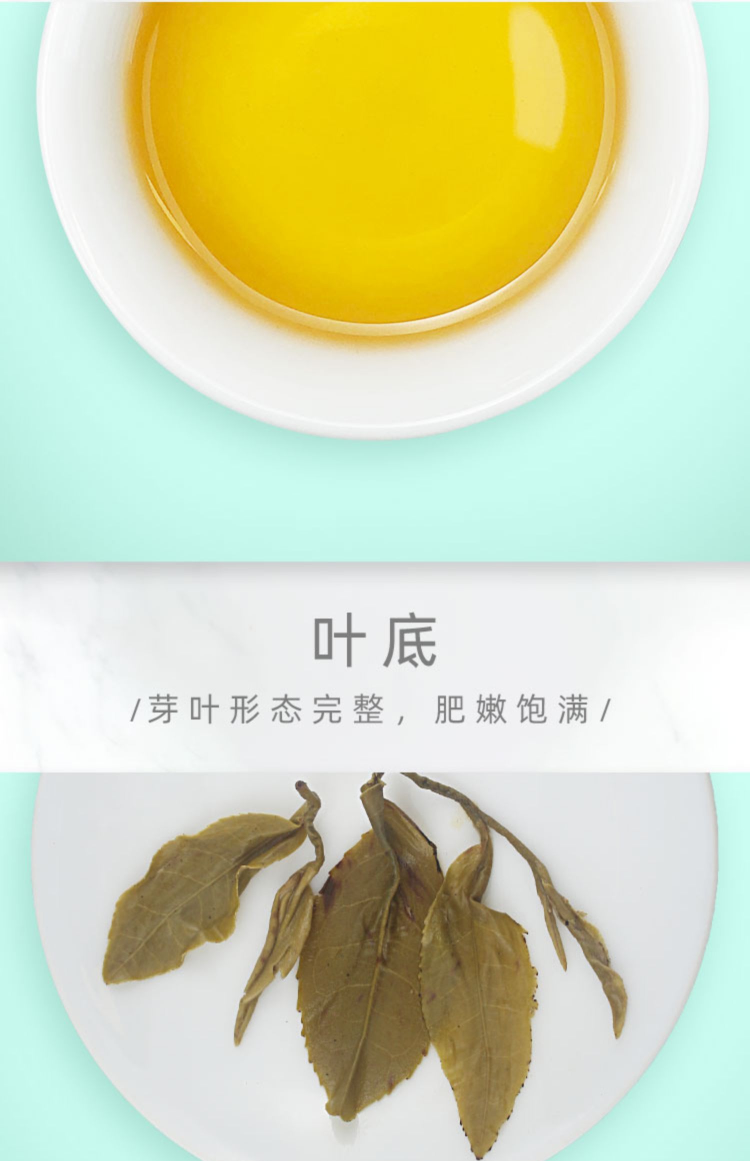 天津正兴德福建茉莉花茶珍螺100g