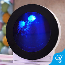 Professional Jellyfish Tank Small Fish Tank Aquarium Living Family Watch Desktop Crystal Seawater Mother Cylinder Custom C7