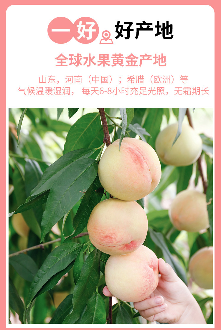 安享好物 安享A级果汁-福兰农庄nfc桃汁 国标 